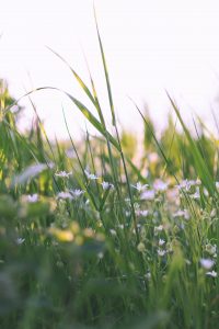 MOINS D'ANGOISSES, DE TRISTESSE, DE COLÈRE, DE PEURS…. 